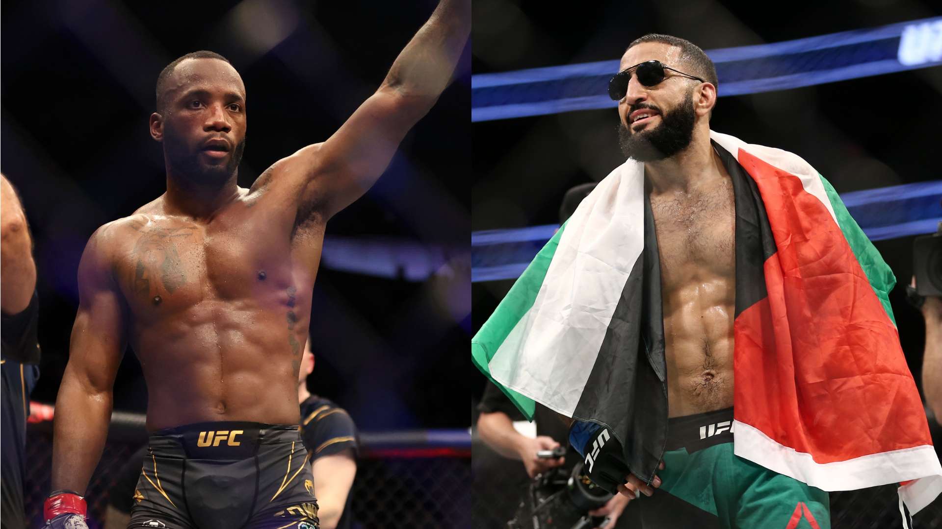 最高荣誉的 最高荣誉的