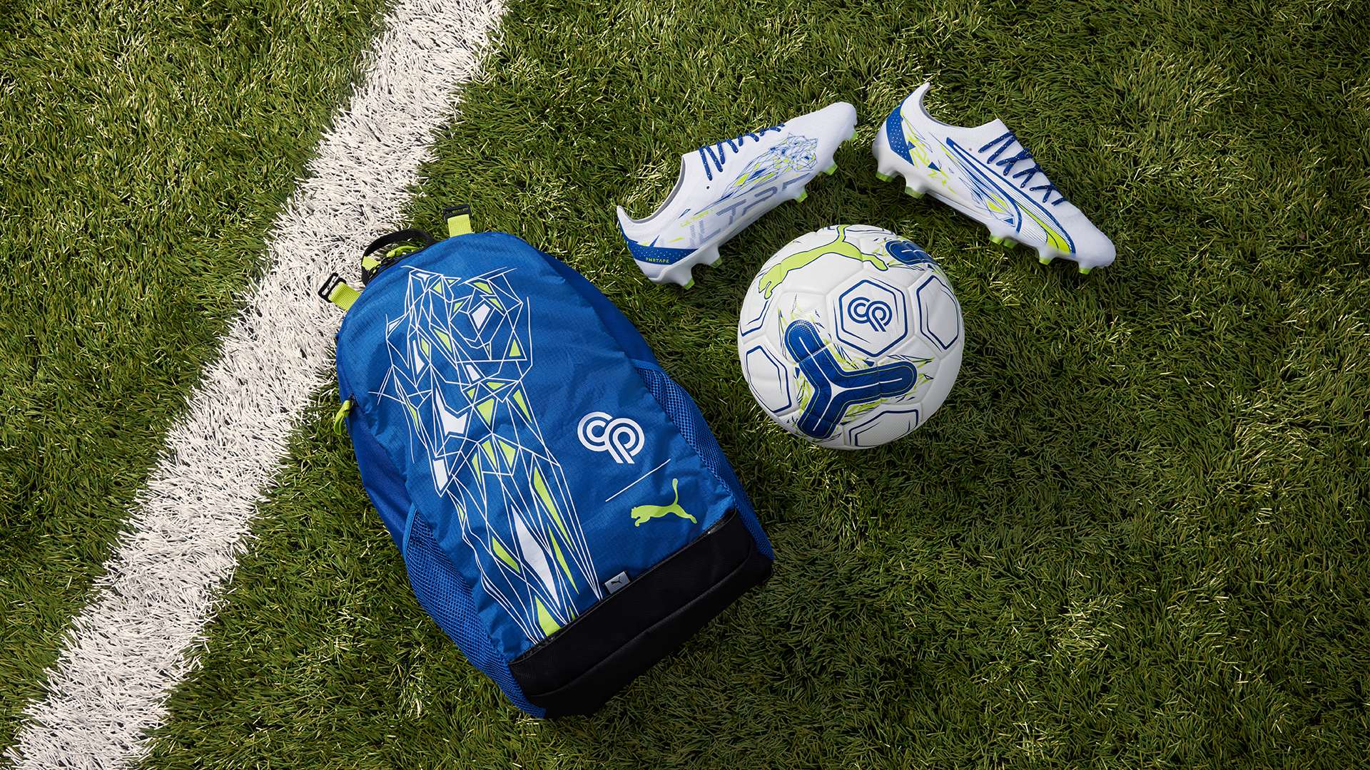 了解政策和 了解政策和