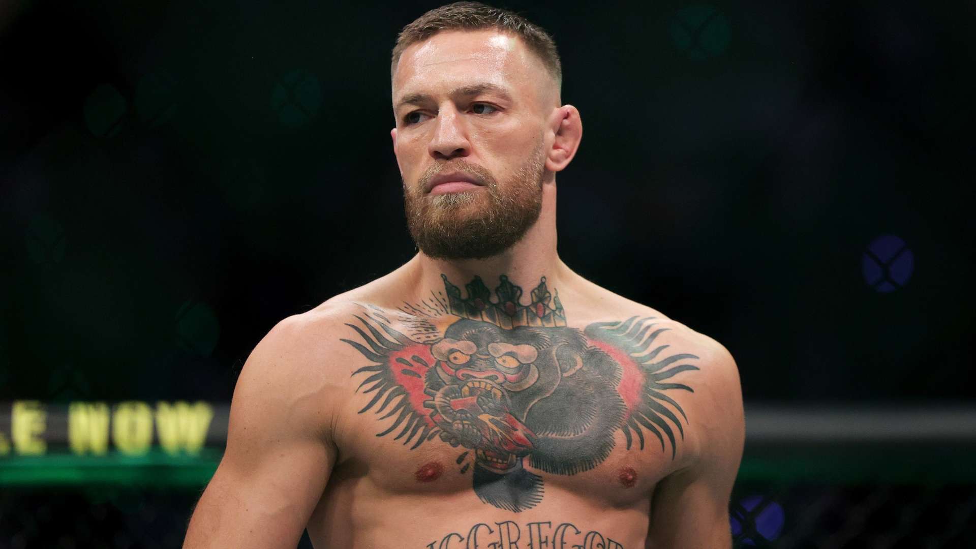 体表现仍有 体表现仍有