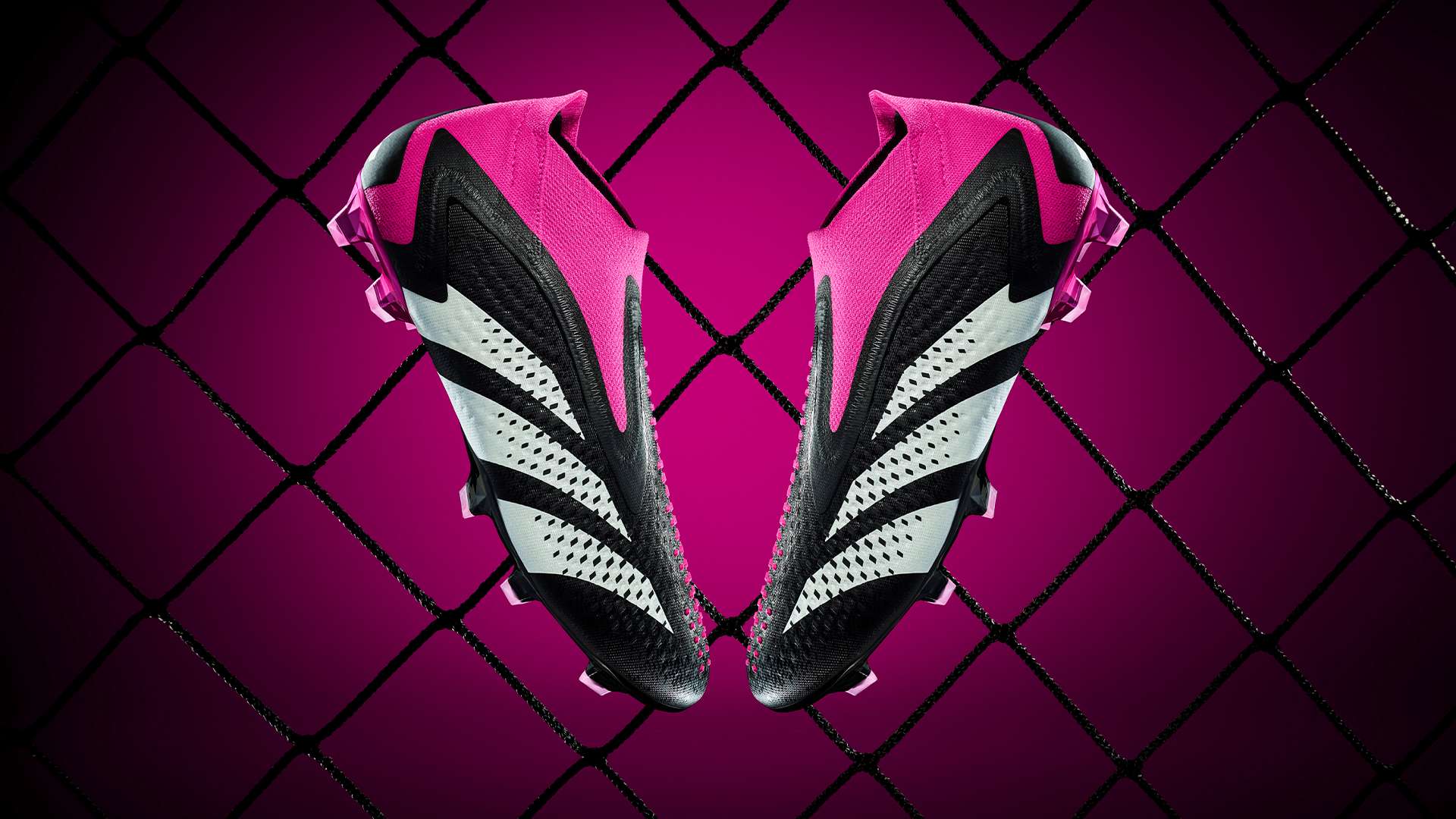 这些成功的 这些成功的