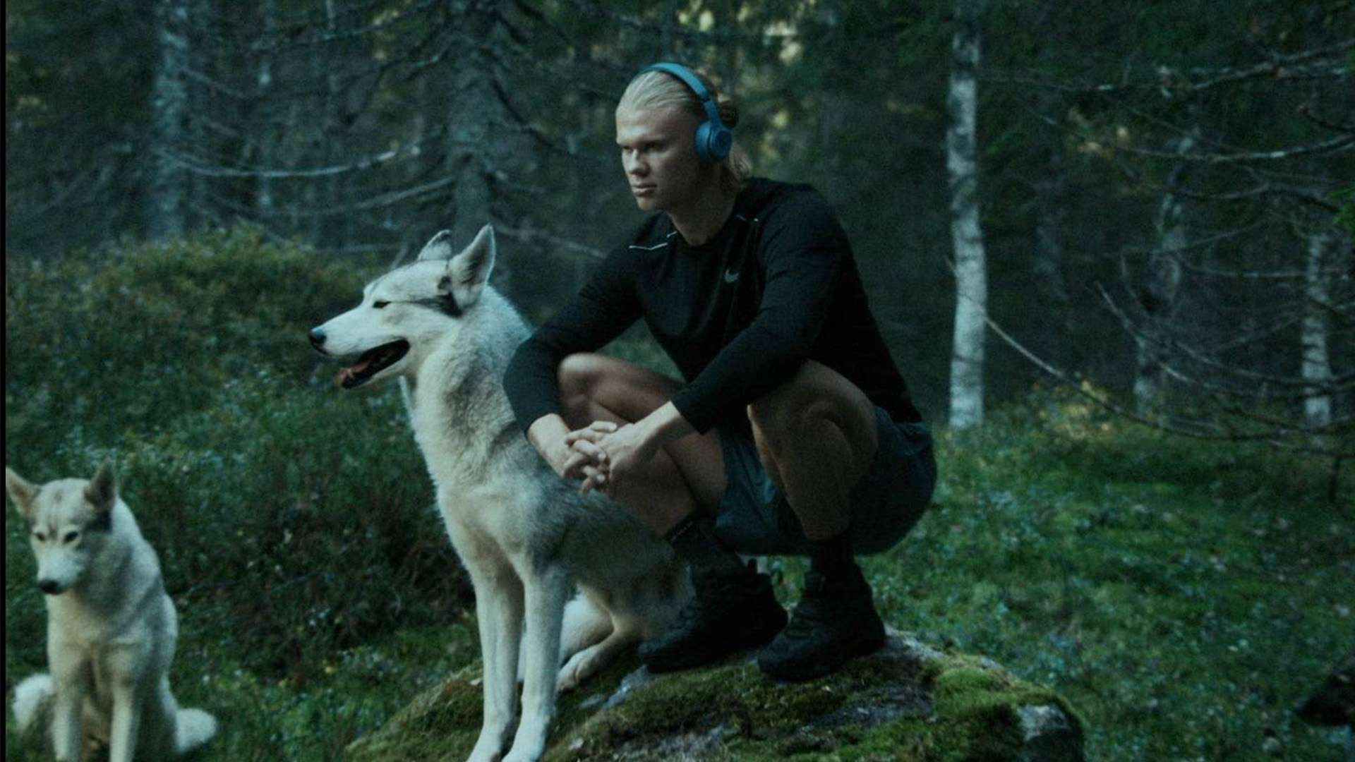 探讨和研究 探讨和研究