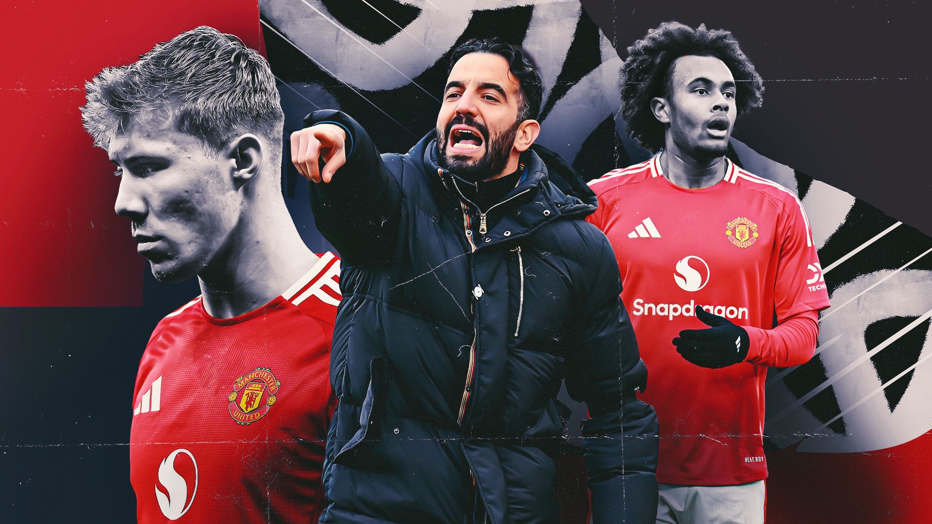 仅引起了亚 仅引起了亚