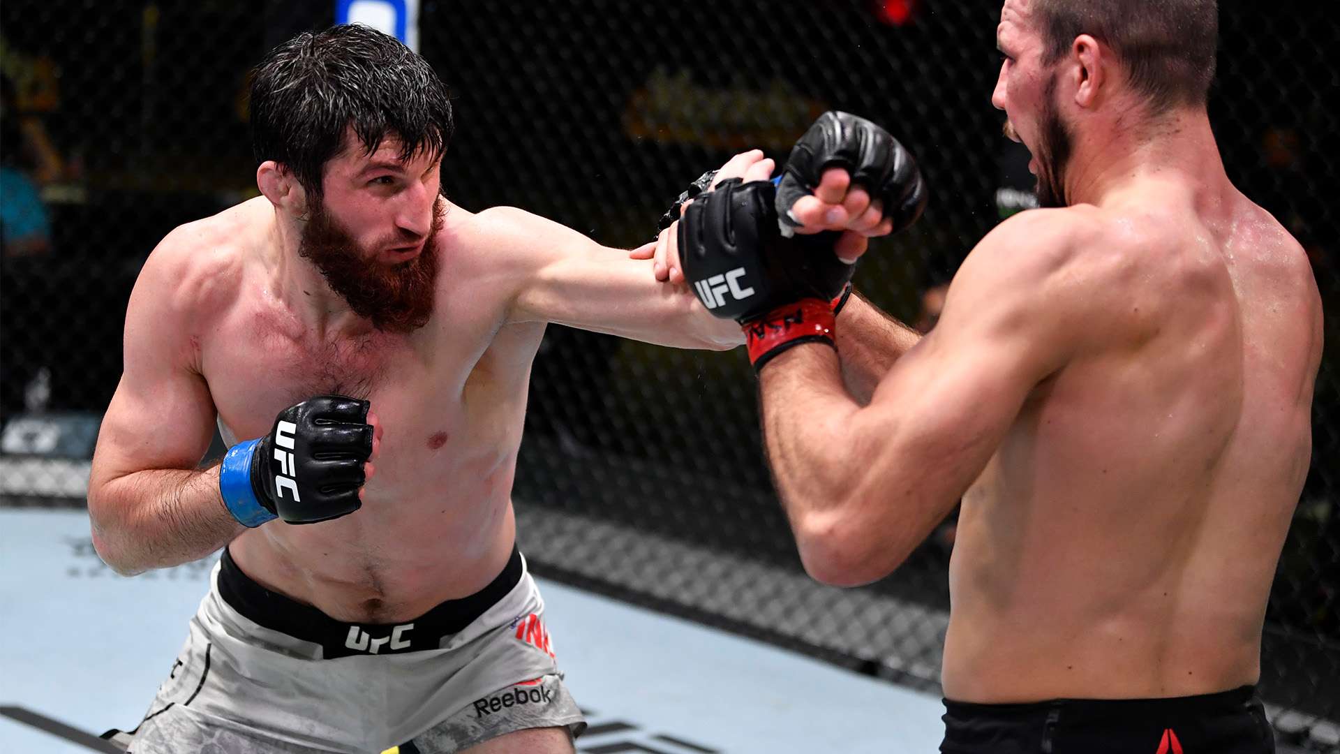 这个以浪漫 这个以浪漫